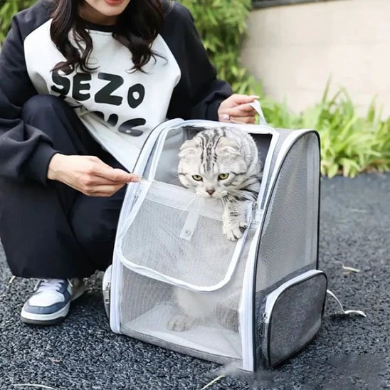 Sac a dos Chat