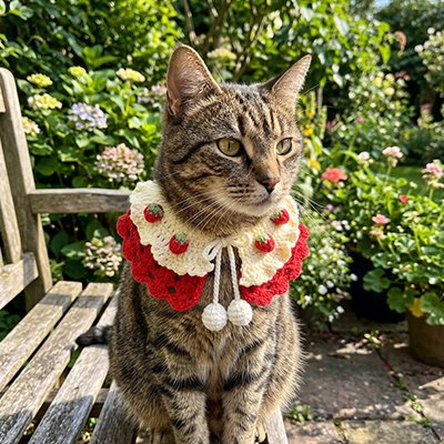 Collier Chat rouge