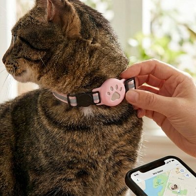 Collier GPS Chat 