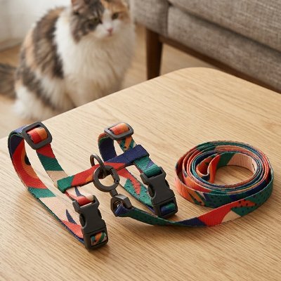 Harnais pour Chat