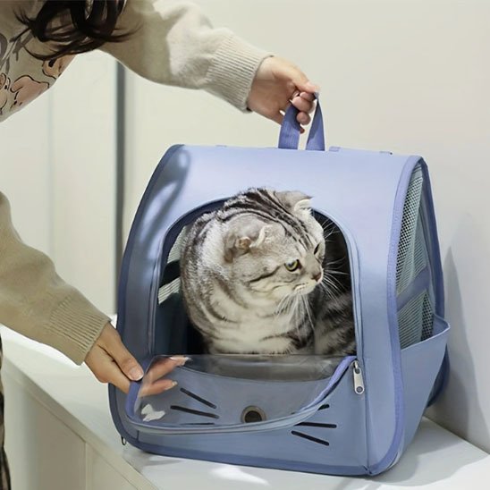 Sac a dos Chat bleu