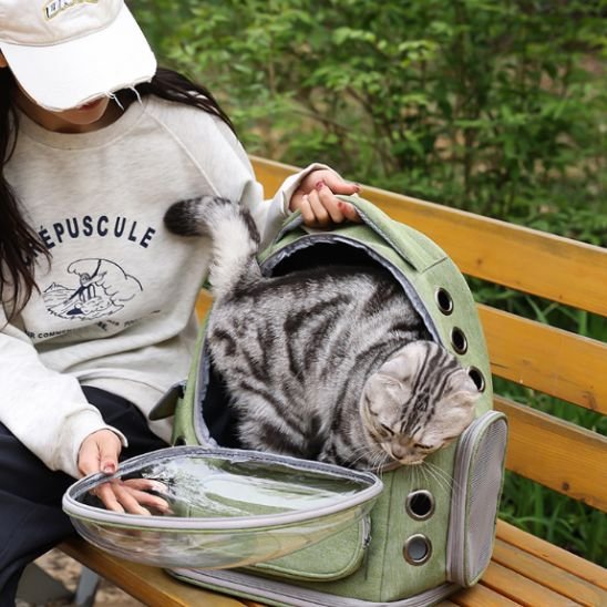 sac a dos chat