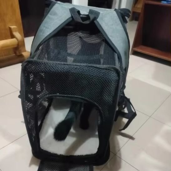 sac a dos chat