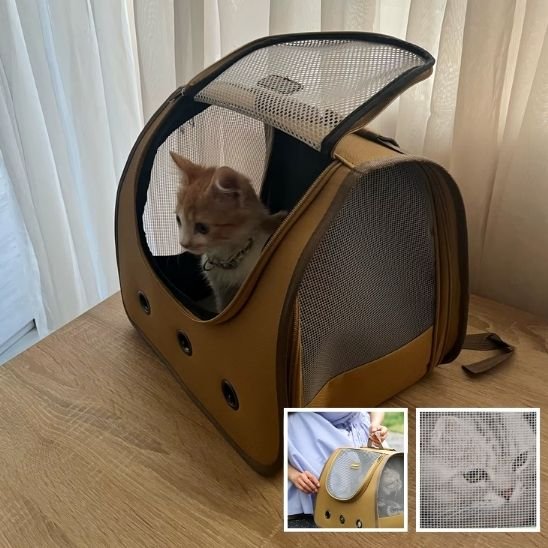 sac a dos chat