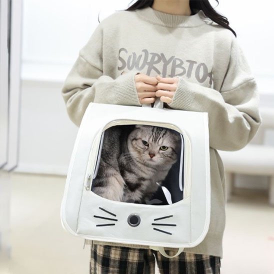 Sac a dos Chat
