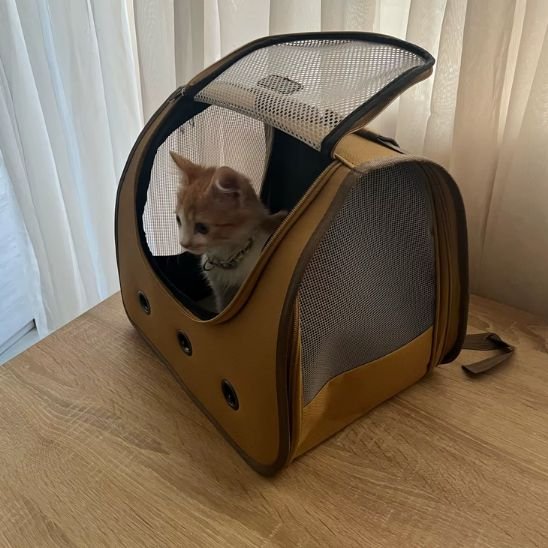 sac a dos chat
