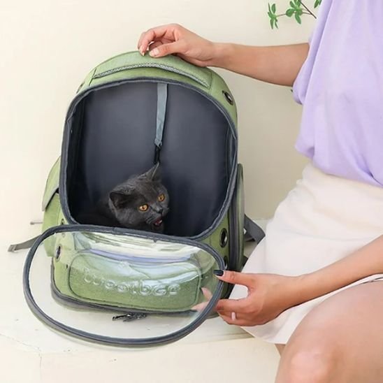 sac a dos chat