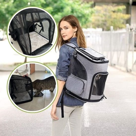 sac a dos chat