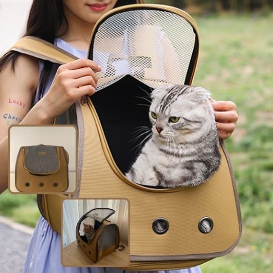 sac a dos chat