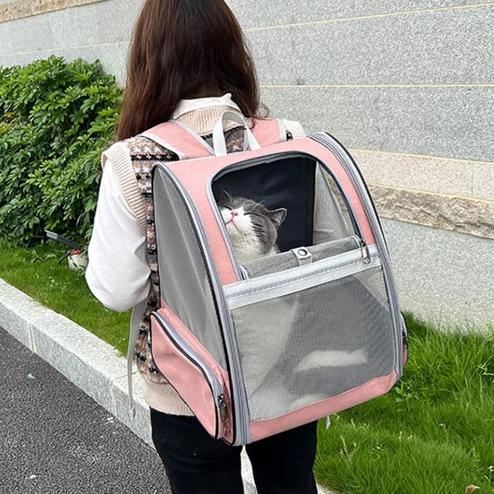 Sac a dos Chat