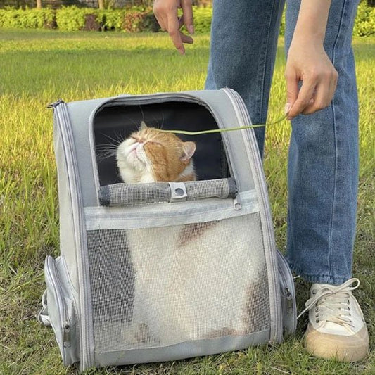 Sac a dos Chat