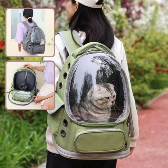 sac a dos chat