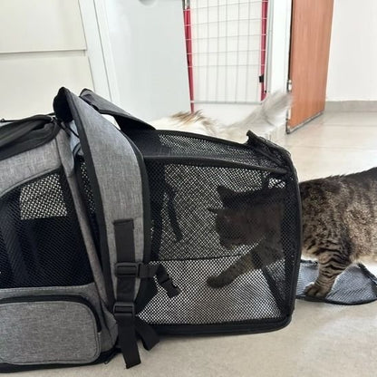 sac a dos chat