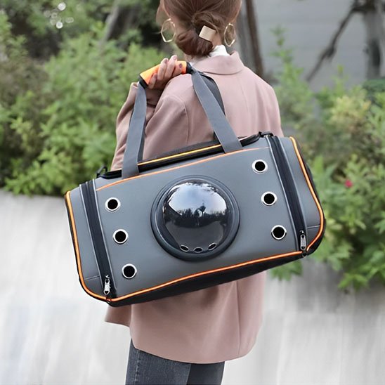sac de transport pour chat