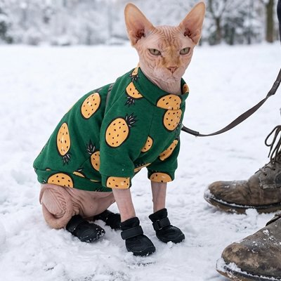 Vêtements pour chats